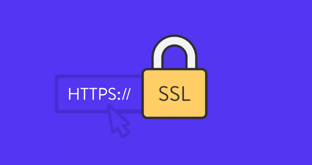 SSL Sertifikası Nedir? Nasıl Alınır?